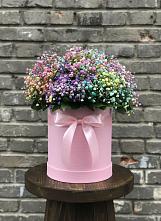 Цветочная композиция из Гипсофила и Розы в шляпной коробке #REPLACE_PRED# Пестриково