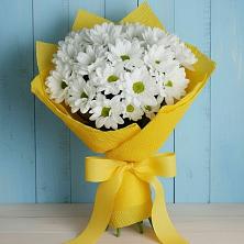 Букет цветов из:  Хризантемы в Пестриково
