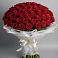 Букет 101 Красная роза Блэк Мэджик в Пестриково