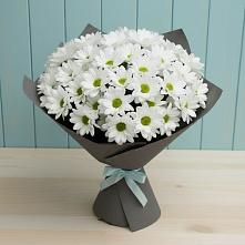 Букет цветов из:  Хризантемы #REPLACE_PRED# Пестриково
