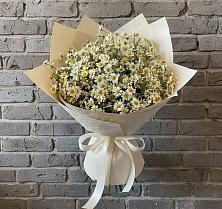 Букет цветов из:  Ромашки #REPLACE_PRED# Пестриково