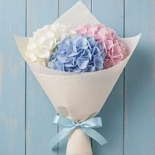 Букет цветов из:  Гортензия в Пестриково
