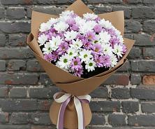 Букет цветов из:  Хризантемы в Пестриково