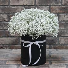 Цветочная композиция из Гипсофила в шляпной коробке в Пестриково