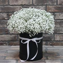 Цветочная композиция из Гипсофила в шляпной коробке в Пестриково