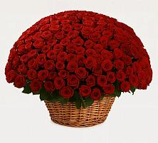 Премиум букет из: Розы в Пестриково