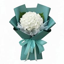 Букет цветов из:  Гортензия в Пестриково
